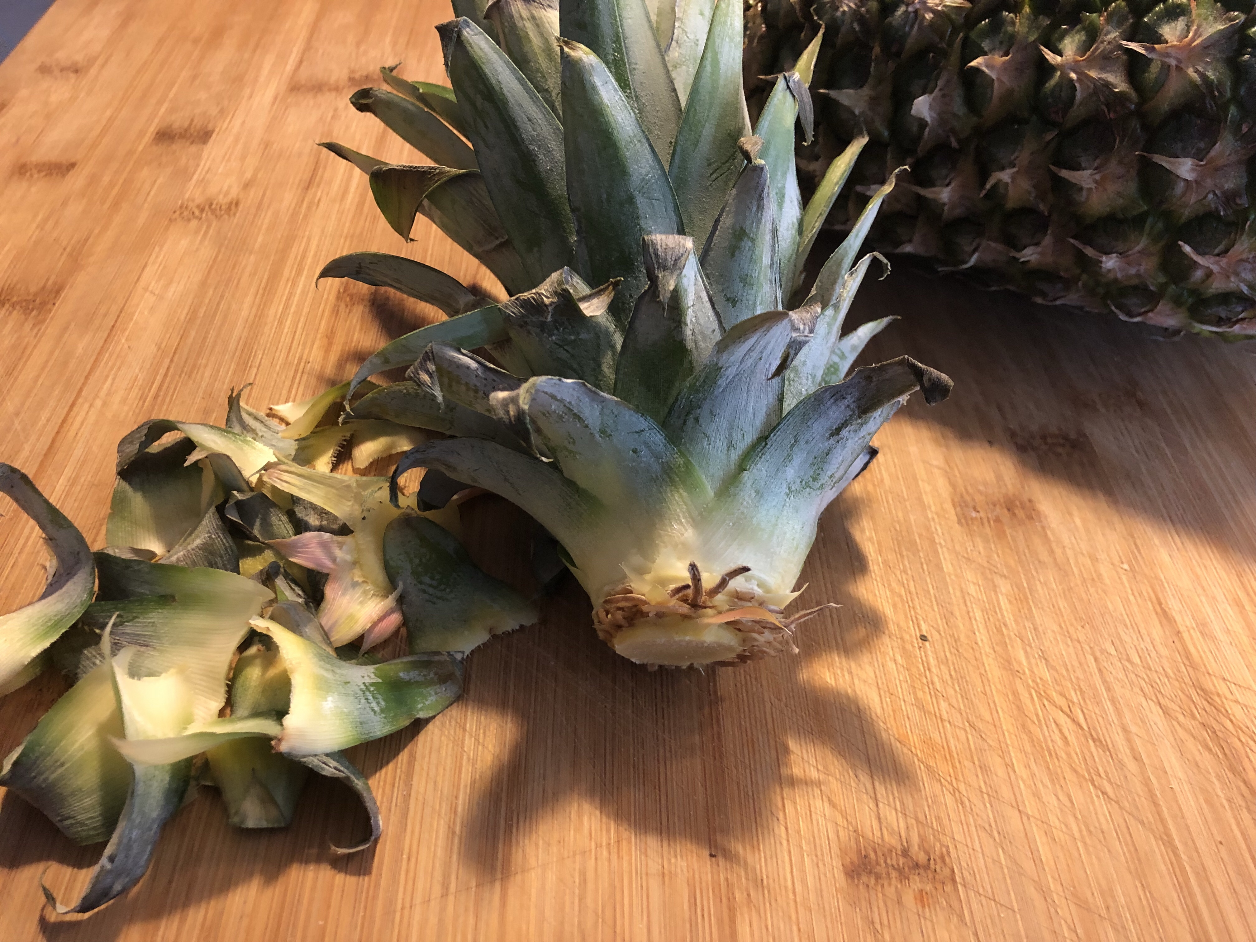How-To-Get-A-Free-Pineapple-Plant